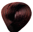 BES The Future Of Hi Fi Hair Color No.4.6