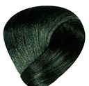 BES The Future Of Hi Fi Hair Color No.093